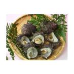 fu.... налог Sazae Chiba префектура .. блок B205. Sazae 