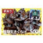 野菜類 きのこ 訳あり 生きくらげ 500g