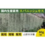 花 スパニッシュモス 太葉 80g