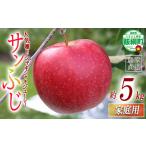 ふるさと納税 りんご 長野県 飯綱町 りんご サンふじ 家庭用 5kg 一里山農園 沖縄県への配送不可 2026年12月上旬頃から2026年12月中旬頃まで順次発送予定 令和…