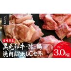 ふるさと納税 牛肉 焼肉・バーベキュー 宮崎県 小林市 宮崎県産 牛・豚・鶏 焼肉おためしCセット 計3kg（牛肉 豚肉 鶏肉 和牛 焼肉 訳あり 小分け 食べ比べ）