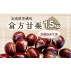 fu.... налог фрукты вид каштан Ibaraki префектура Ibaraki блок 538. person сладкие каштаны 1.5kg каштан сладкие каштаны редкий товар вид ограниченное количество .. Ibaraki префектура производство 