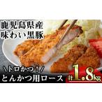豚肉 ロース かごしま味わい黒豚 とんかつ用ロース