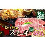 牛肉 すき焼き 定期便6回 とちぎ和牛ステーキ 300g×2枚