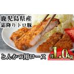 豚肉 霜降り トロ豚 とんかつ ロース 計1kg