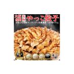 ふるさと納税 餃子 大阪府 忠岡町 やっこ餃子 1530592