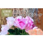 花 苗木 花束 9ヶ月定期便 バラ ブーケ 朝摘み
