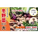 セット 詰合せ 2回定期便 早期受付 アグリユウベの冬野菜セ…