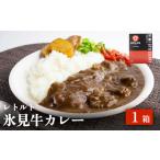 牛肉 カレー シチュー 氷見牛カレー レトルト 1箱