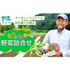 セット 詰合せ 野菜 オーガニックファーム所沢農人の旬の野…