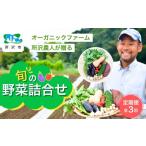 セット 詰合せ 3ヵ月定期便 野菜 詰め合わせ 8種以上