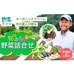 セット 詰合せ 6ヵ月定期便 野菜 詰め合わせ 8種以上