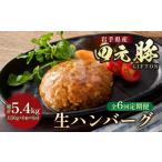 ふるさと納税 肉 ハンバーグ 岩手県 北上市  定期便 6か月 岩手ブランド豚 四元豚 生ハンバーグ 150g×6個 GIFTON ギフト お歳暮 お中元 おせち 贈答 高級店の…