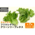 野菜 詰め合わせ セット レタス 計7個