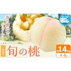 ふるさと納税 もも 岡山県 浅口市 桃 もも 2026年先行予約 桃 旬 旬の桃 ご家庭用 1.4kg (4〜6玉) フルーツファーム岡山《2026年6月下旬-8月下旬頃出荷》岡山…