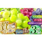 ふるさと納税 果物類 ぶどう 長野県 塩尻市 先行予約 9月中旬頃〜発送予定 シャインマスカット・ナガノパープル・クイーンルージュ? 3房セット | 果物 くだも…
