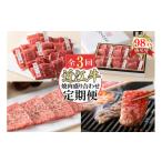 牛肉 焼肉 バーベキュー 定期便3回 カネ吉山本焼肉盛り合わ…