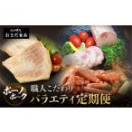 肉 ハム 定期便 3回 飛騨味職人 ボーノポーク満喫定期便