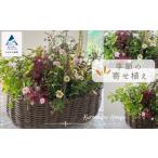 花 苗木 季節の寄せ植え fj001n00