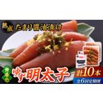 魚貝類 明太子 全6回定期便 熟成 たまり醤油漬け