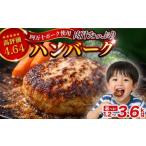 ふるさと納税 肉 ハンバーグ 高知県 須崎市 ハンバーグ 四万十ポーク 入り 1.2kg ( 200g × 6個 ) 冷凍 真空 小分け 個包装 肉汁 たっぷり 大容量 大きめ 合挽…
