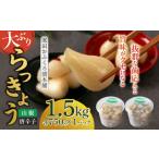 加工品等 漬物 らっきょう 1.5kg