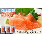 fu.... налог рыба моллюски salmon Fukui префектура маленький . город год внутри рассылка ... sashimi Fukui salmon рассылка не возможно регион : Hokkaido * Okinawa * отдаленный остров BFAA071
