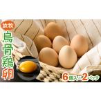 fu.... налог яйцо ( курица,.. курица и т.п. ) Tokyo Metropolitan area .... город .... куриное яйцо 6 штук ×2 упаковка tolizo- ферма 1555485