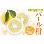 ふるさと納税 みかん・柑橘類 熊本県 上天草市  先行受付 上天草市産 パール柑 約5kg 12玉前後 柑橘 フルーツ 果物 果実 熊本県 上天草市 2026年2月下旬から4…