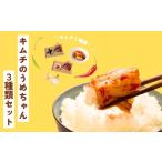 加工品等 キムチ 定番キムチ3種類セット