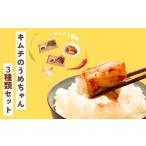 加工品等 キムチ キムチ3種類セット キムチのうめちゃん