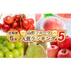 ふるさと納税 果物類 さくらんぼ 山形県 山形市 定期便5回 山形フルーツ人気ランキング5 令和7年産先行予約 FS24-786