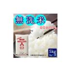ふるさと納税 無洗米 岡山県 玉野市 令和7年産 無洗米あきたこまち 5kg (5kg×1袋) 岡山県産 お米