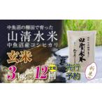 ふるさと納税 玄米 新潟県 十日町市 先行新米予約 定期便/全12回 玄米3kg 新潟県魚沼産コシヒカリ「山清水米」十日町市 米
