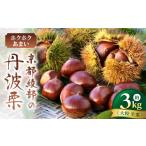 果物類 栗 丹波栗 約3kg