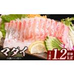 魚貝類 鯛 マダイ 内臓ウロコ取り 1尾分 N015-YA3329