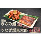 ふるさと納税 うなぎ 千葉県 銚子市 訳あり うなぎ坂東太郎小串2枚(不揃い1枚約90g) きざみ鰻×2 (1パック約50g)不揃い うなぎ 鰻 坂東太郎 ブランド ブ…