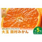 大玉田村みかん 2L