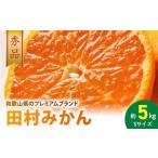 プレミアムブランド 田村みかん Sサイズ