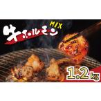 牛肉 ホルモン 小分け 約1.2kg