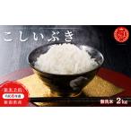 ふるさと納税 無洗米 新潟県 見附市 R6年産 無洗米 新潟県産 こしいぶき 2kg