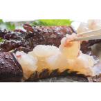 fu.... налог креветка лангуст Kochi префектура . дверь город . sashimi .. дверь производство . холодный Исэ город море .1kg(2 хвост ~5 хвост степень )