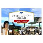 体験チケット フライトシミュレーター操縦体験70分コース