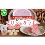 焼菓子 チョコレート クッキー 5525-1073