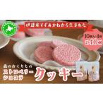 焼菓子 チョコレート クッキー 5525-1075