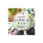 インテリア 360度楽しめる 吊るせる観葉植物