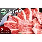 牛肉 焼肉 バーベキュー ~四国一小さなまち~