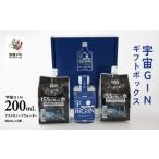 お酒 リキュール 宇宙GIN 200mL