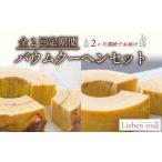 焼菓子 チョコレート バウムクーヘン 全2回定期便