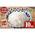 米 ヒノヒカリ 令和7年産 ひのひかり 白米 計10kg